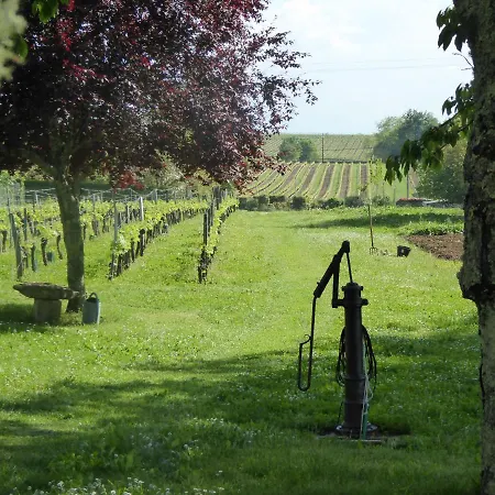 Feriehus La Vigneraie De Laura: Entre Vignes Et Chenes *