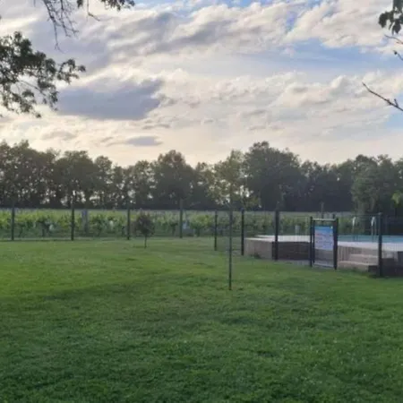 La Vigneraie De Laura: Entre Vignes Et Chenes Sainte-Colombe (Gironde)