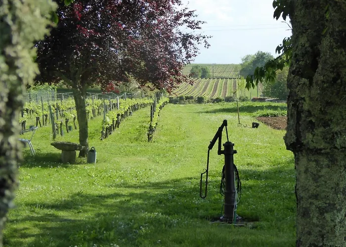 بيت للعطل La Vigneraie De Laura: Entre Vignes Et Chenes *
