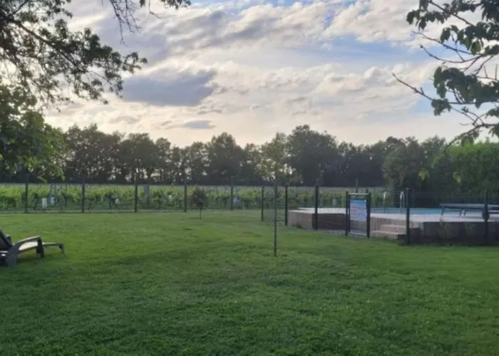 La Vigneraie De Laura: Entre Vignes Et Chenes Sainte-Colombe (Gironde)