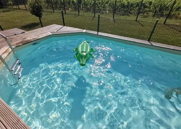 La Vigneraie De Laura: Entre Vignes Et Chenes