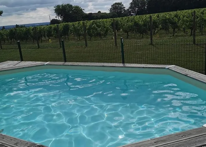 La Vigneraie De Laura: Entre Vignes Et Chenes Sainte-Colombe (Gironde)