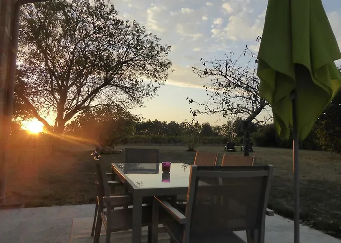 La Vigneraie De Laura: Entre Vignes Et Chenes